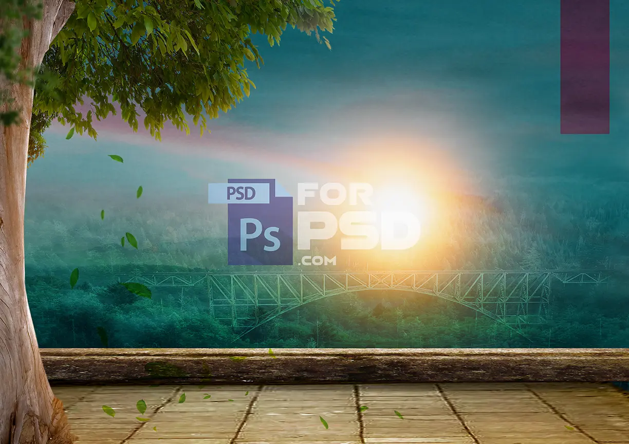 Image Preview